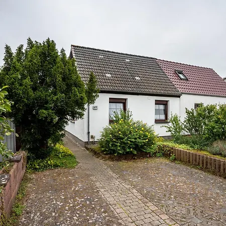 Norbi Stralsund